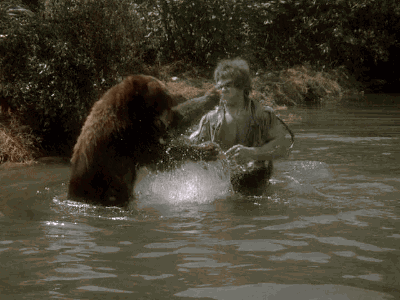 source.gif