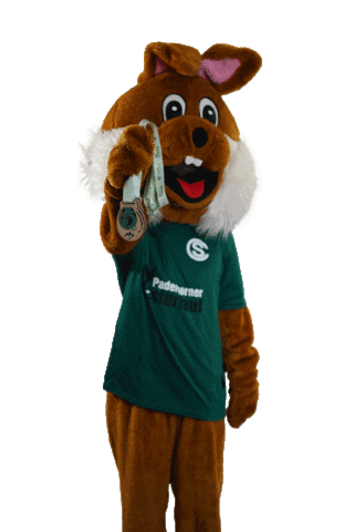 Paderborner Osterlauf Sticker