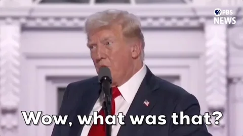 Donald Trump GIF