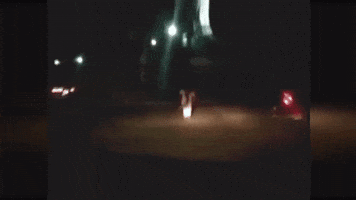 paolovaldivia  GIF