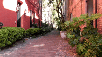 Digital Ignite GIF