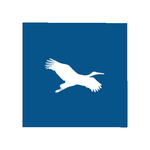 Human Immobilier Sticker