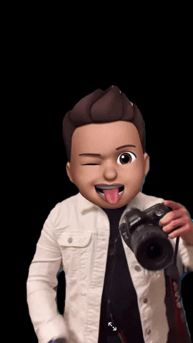 Photographer GIF
