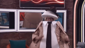 Big Brother Party GIF