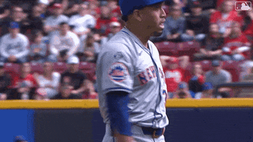 Edwin Diaz Sport GIF by New York Mets