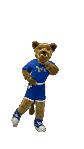 New York Hofstrau Sticker by Hofstra University