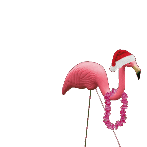 Las Vegas Flamingo Sticker by Opportunity Village