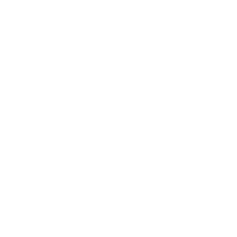 flysansa Sticker