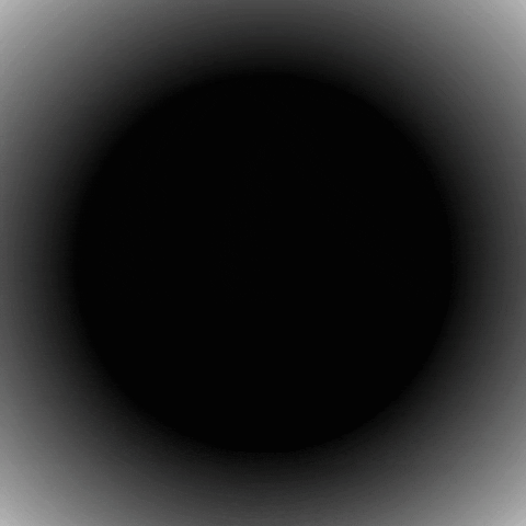 Vereador GIF