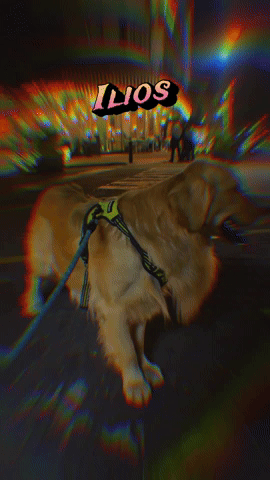 Ilios GIF