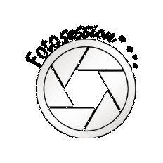 Shooting Day Sticker by seelenfreund