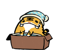 Good Night Sleeping Sticker
