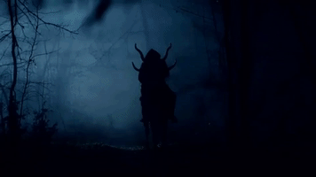 alinabelferman  GIF