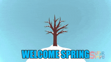 spring seasons GIF by Super Simple