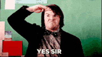 cat discover GIF