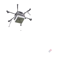 Pizza Delivery GIF by Storyful