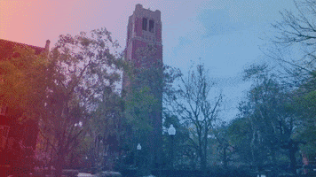 Ufcoe GIF by University of Florida College of Education