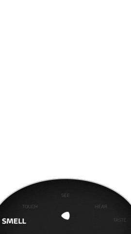 Sensazione Sticker by Ducati