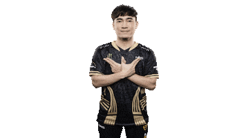 Levi Sticker by GAM Esports