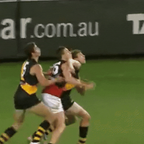 GIF by Essendon FC