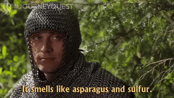 Zombieorpheus Asparagus GIF by zoefannet