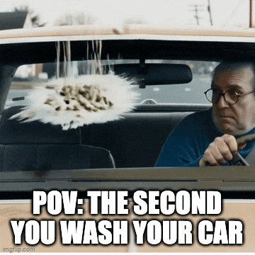 Funny GIF by Fiverr