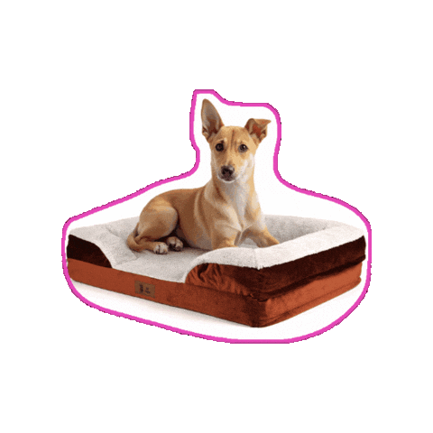 Hond Sticker