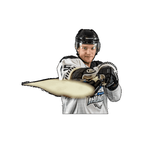 Hockey Sticker by Wichita Thunder