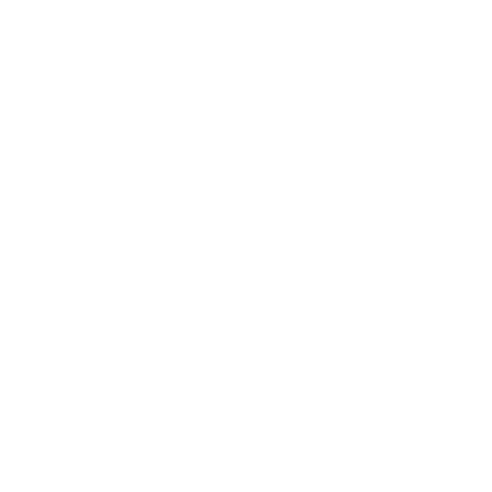 Solidays Sticker by solidcore