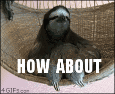Sloth Reaction GIF - Find & Share on GIPHY