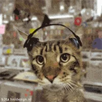 ������ ������� ������