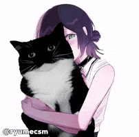 Csm GIF