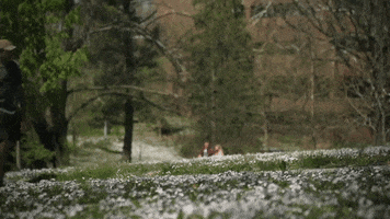 spring students GIF by Eastern Kentucky University