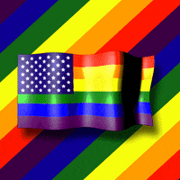 American Flag Rainbow GIF by INTO ACTION