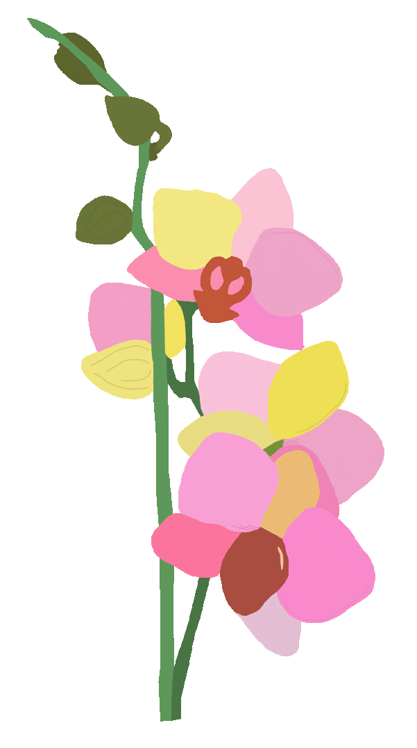 Pink Flower Sticker by Perky Pear