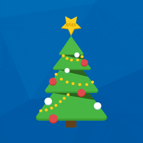 Merry Christmas GIF by AFAS Software