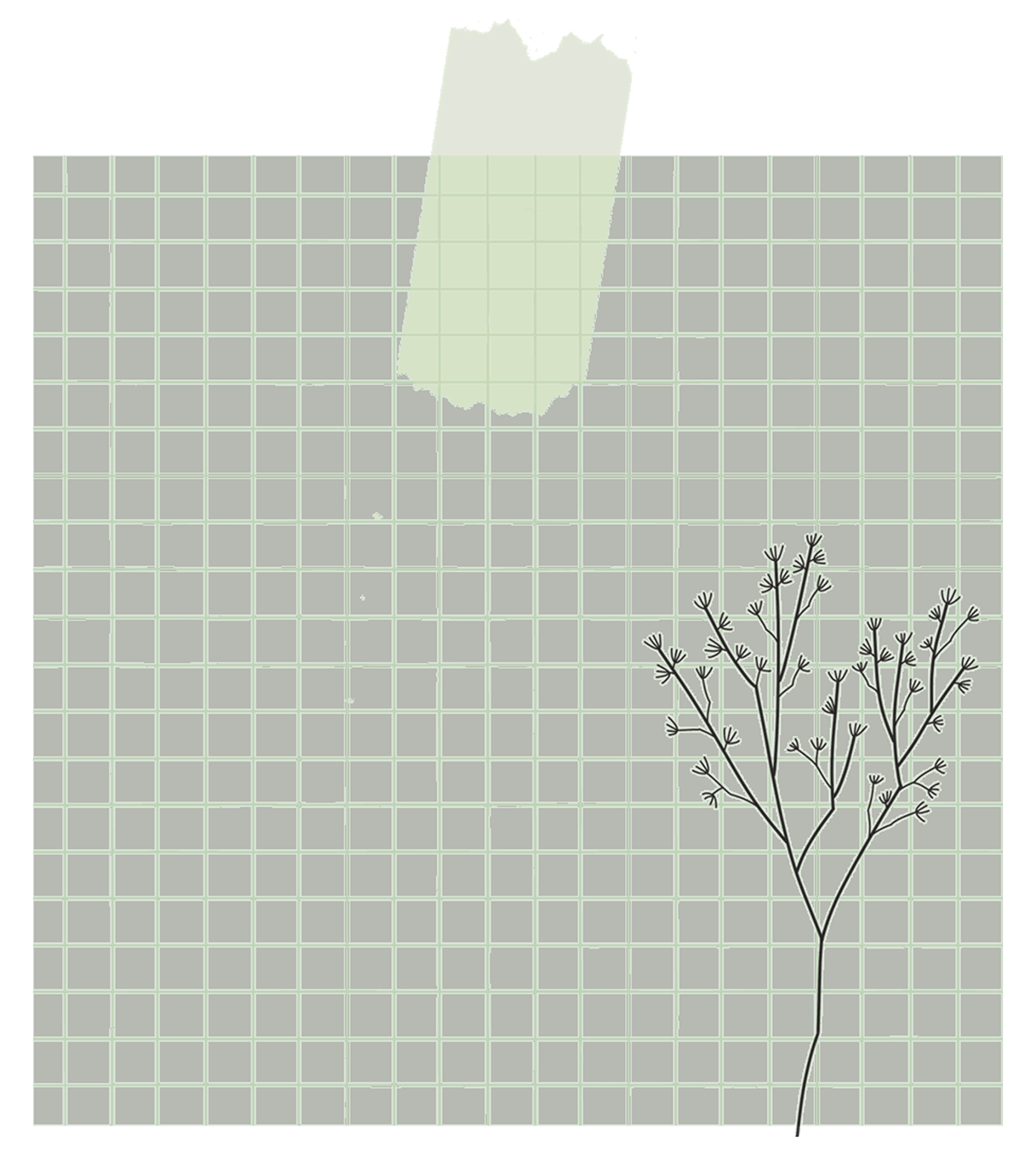 Flower Frame GIF by Find & Share on GIPHY