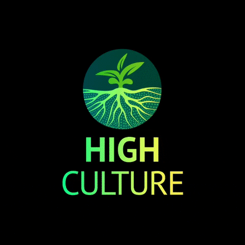 High Culture GIF