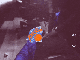 Revive New York Knicks GIF