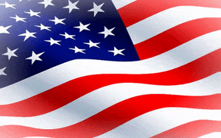 American Flag Veterans Day GIF by Cockrill & Associates