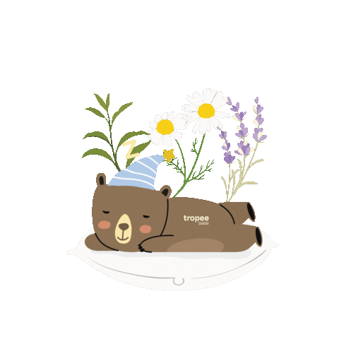 Cute Bear Sticker by Tropeebebe