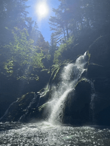 giphy.gif?cid=9b38fe913rj4n275csf02rv08s