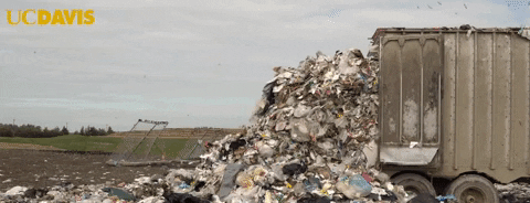 Waste Management Food GIF by UC Davis - Find & Share on GIPHY