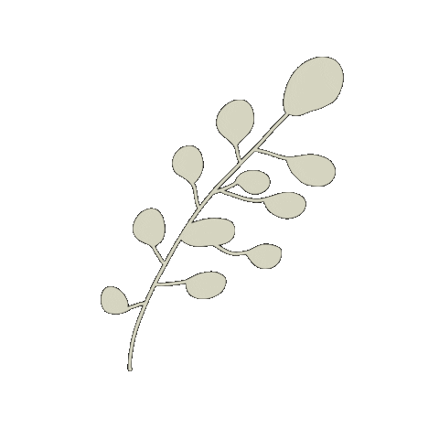 Flowers Wildflowers Sticker by The Hiatus Label