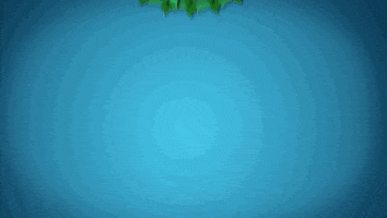 Animation GIF
