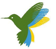 Luz Colibri Sticker by Kverdes