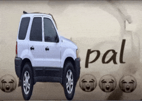 Ford Pal GIF