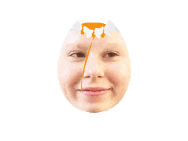 Egg Sees Sticker by SonnenBrand Festival