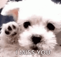 My Baby Boy Ily So Much Gifs Get The Best Gif On Giphy