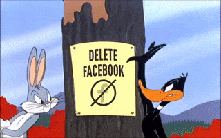 Zuckerberg GIF